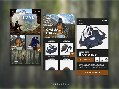 Fake Project | UI Exploration for Visval mobile web app branding design ui ux web