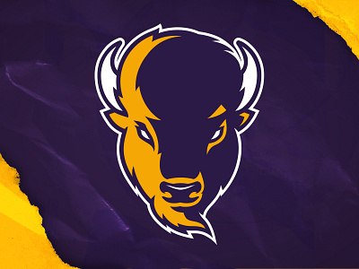 Lipscomb Bison Mascot Rebrand