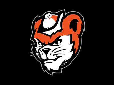 Sam Houston State University Mascot Identity