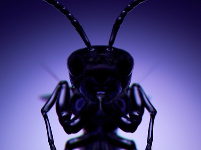 INSECTZ // Styleframe explorations