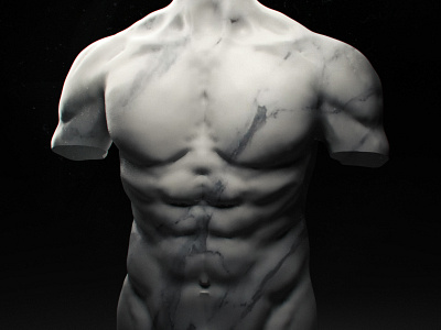 BODY 3d anatomy body crislabno study
