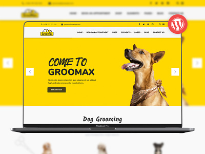 Groomax - Pet Grooming & Shop WordPress Theme