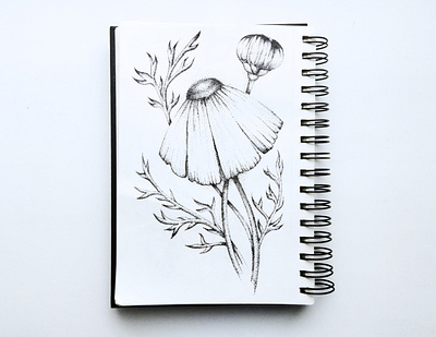 chamomile design drawing illustration pointillism