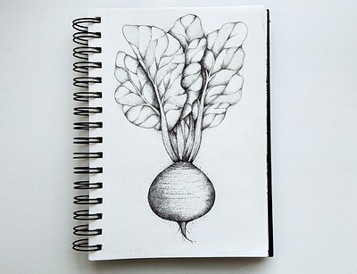 beetroot design drawing illustration pointillism ui