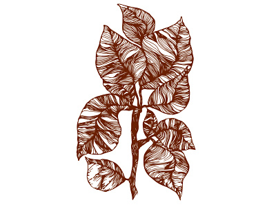leaf design drawing illustration minimal ui vector