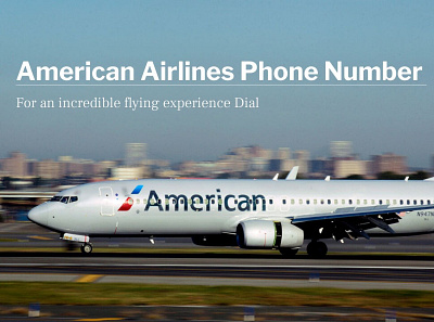 American Airlines Phone Number