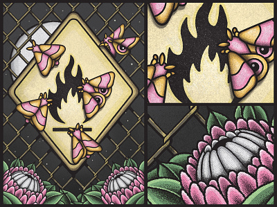 PINK MOTH - Moth to a Flame adobe adobeillustrator artwork brand branding danger design digitalillustration drawing flame graphicdesign identity illustration illustration art illustrator independent moth pink