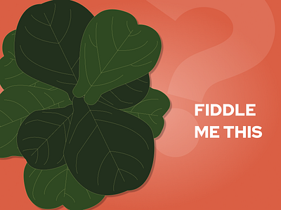 Fiddle Leaf Fig Plant Illustration and Layout Composition