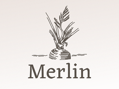 Merlin's logo 🌱