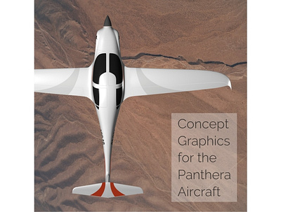 Panthera Concept Art, In Flight Top-Down View aircraft applied graphics branding concept art graphic design vehicle graphics