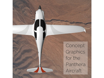 Panthera Concept Art, In Flight Top-Down View