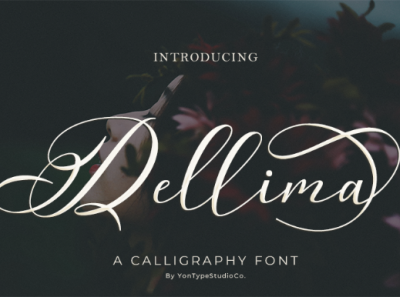 Dellima | Wedding Calligraphy Font