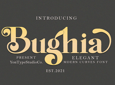 Bughia | Display Serif Font branding branding font display serif font graphic design logo logo font