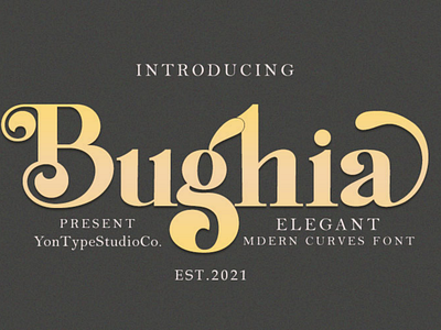 Bughia | Display Serif Font branding branding font display serif font graphic design logo logo font