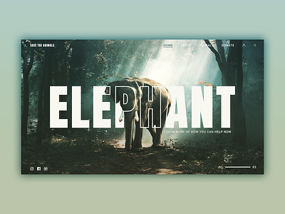 Save the elephants web landing page animal app brand design graphic landing page photo ui ux web website