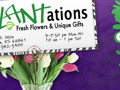 Plantations bold header plants purple