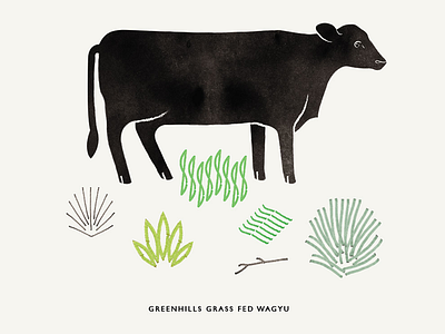 Greenhills Wagyu Illustrative Component branding cow ethical grass green identity meat nature wagyu