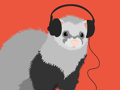 Music loving ferret