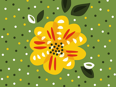 Yellow primrose flower abstarct abstract floral flower flowers illustration primrose primrose flower spring flower vector flower yellow flower