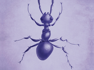 Purple ant drawing ant ants art bug bugs drawing illustration insect insects purple