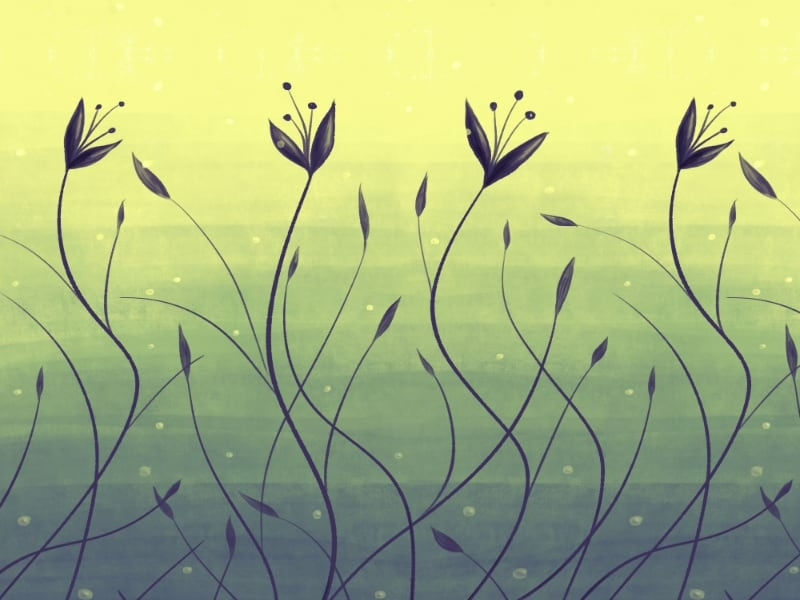 Water plants in swamp abstract art flowers flora nature plant illustration illustration abstract botanical algae floral flower plant swamp water