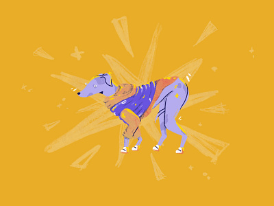 dogs in coats brazilian cute dog dog illustration fun illustration ilustra pet pet illustration pets procreate texture