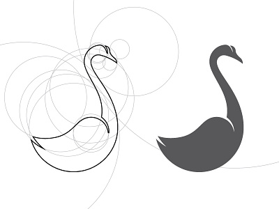 Swan Construct