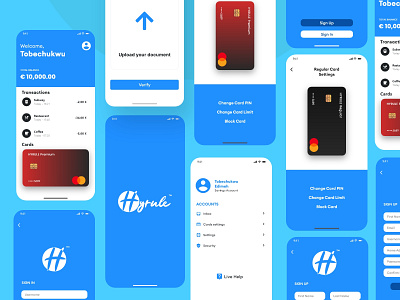 Hyrule Bank App UI banking branding design icon logo ui