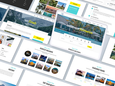 MIA Travel Website UI UX Design