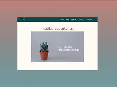 Malibu Succulents branding design logo minimal product design typography ui ux ux design web website