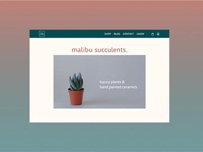 Malibu Succulents branding design logo minimal product design typography ui ux ux design web website