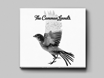 The Common Linnets album artwork