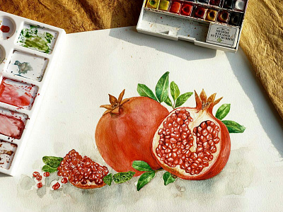 Pomegranate Watercolour Illustration botanical illustration fruit fruit illustration illustraion leaflet design logodesign packaging design pomegranate watercolour