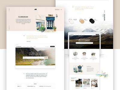 LeCollectionist agency case color illustration landing me study ui ux work