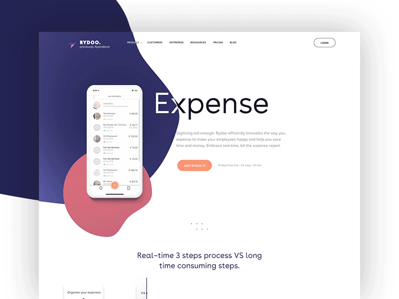 Expense Page for Rydoo