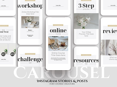 Carousel Instagram Stories & Posts canva canva template carousel design instagram post instagram stories instagram template typography