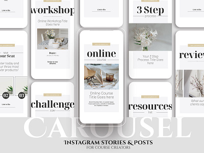 Carousel Instagram Stories & Posts