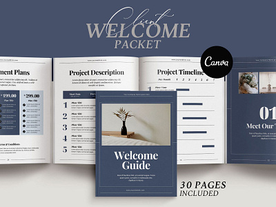 Client Welcome and Pricing Packet for Canva 3.14co brochure design brochure layout brochure template canva canva template client welcome packer ebook design pricing list template project proposal typography welcome kit