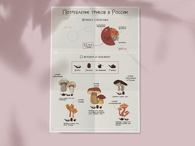 Mushrooms in Russia advice cooking design flat illustration infographic information mushroom nature illustration statistic vector