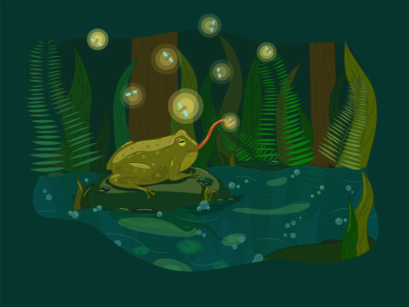 Toad and fireflies by Mari S on Dribbble