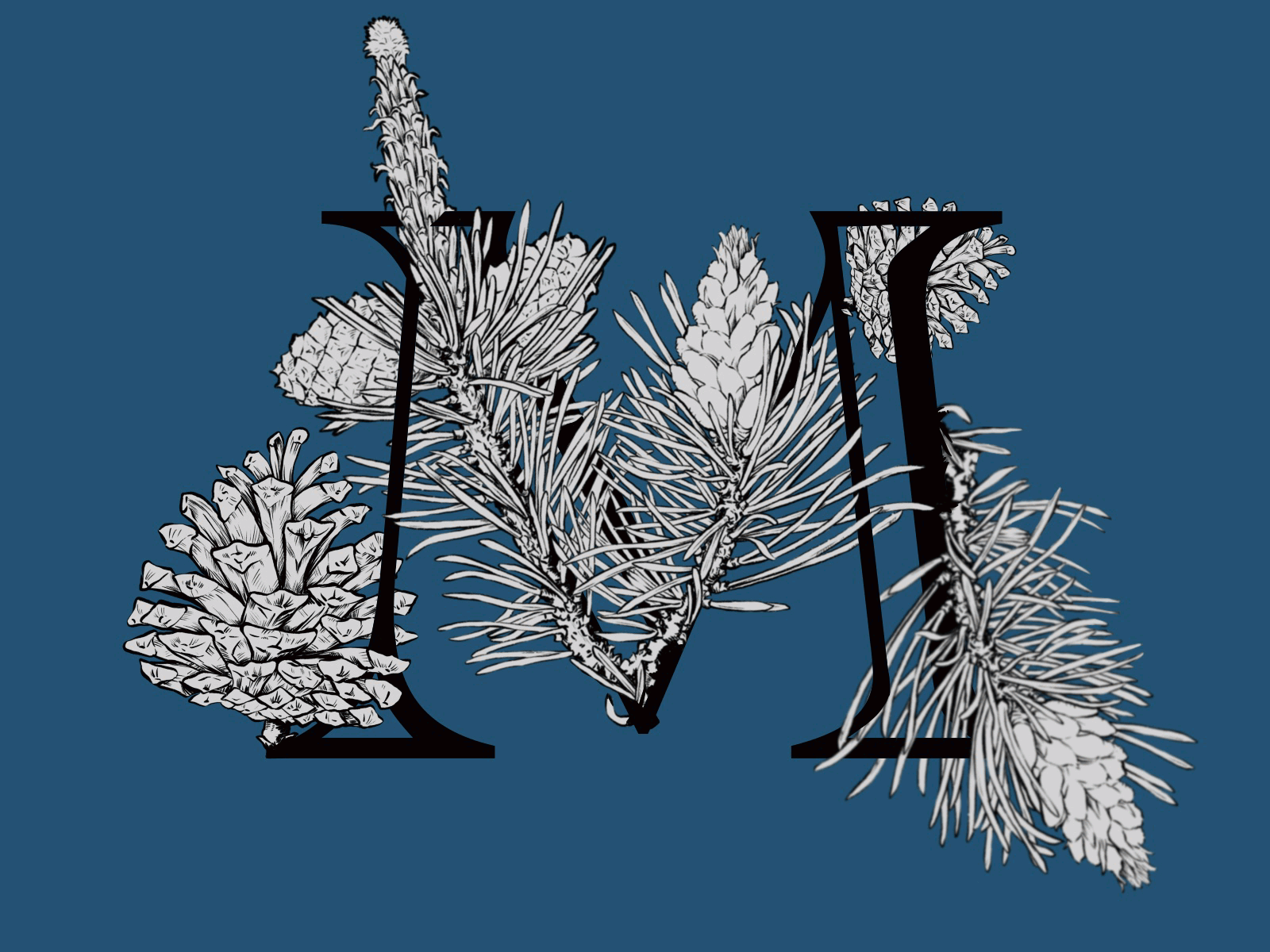 Floral Letters_"M" botanical illustration design floral art illustration plant illustration plants type typeface typogaphy typographic