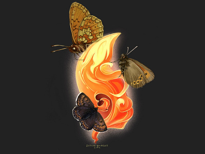 Butterflies on fire animal art animal illustration bugs butterflies butterfly design designs illustration insects ipadproart ipadprocreate nature procreate procreate app science illustration tshirt