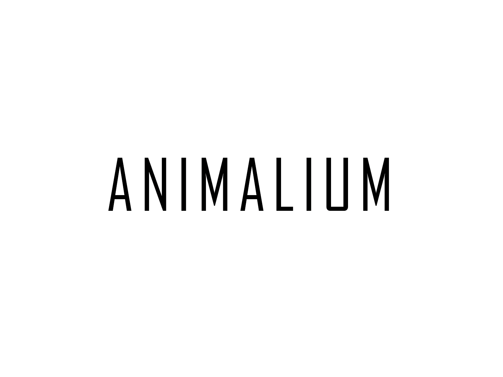 Animalium_Animated animal art animal illustration branding conservation illustrator scientific scientific illustration species wild animal