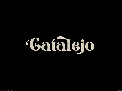 Catalejo - Logo branding design graphic design logo typography vector