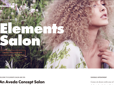 Elements Salon & Spa design hair salon ui ux webdesign website