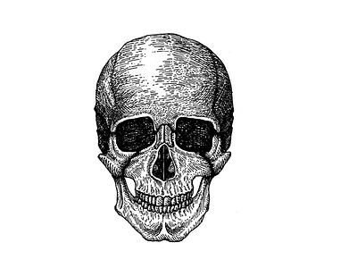 Die Die My Darling art artwork blackandwhite dead drawing illustration ink inking penciling skull