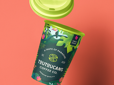 Toutoucans Branding and Illustration