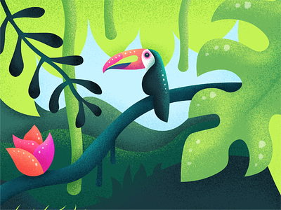 Tropical Illustration animal illustration design illustration package illustration rainforest toucan tropical vector illustration