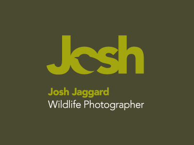Josh 3 bird green illustration logo negative space type