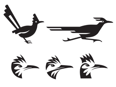 Roadrunner bird identity illustration logo roadrunner